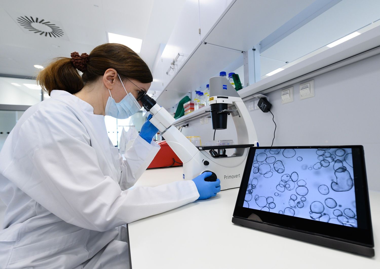 scopri le migliori risorse sull'intelligenza artificiale: articoli, guide, strumenti e aggiornamenti per rimanere sempre aggiornato sulle ultime novità nel mondo ai.