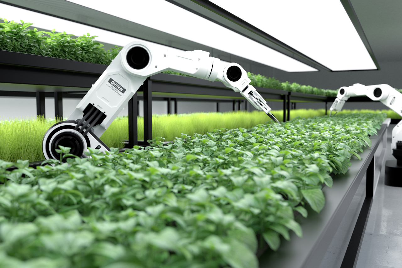 scopri i vantaggi dell'automazione con l'intelligenza artificiale: ottimizzazione dei processi, aumento dell'efficienza e riduzione dei costi. rivoluziona la tua azienda grazie alle innovative soluzioni ai.