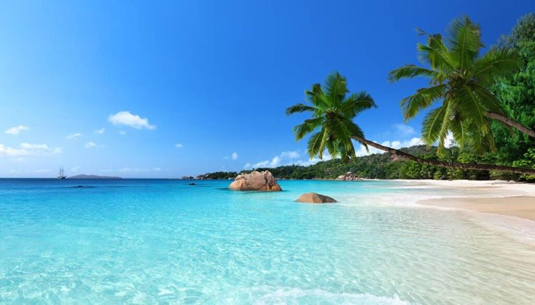 scopri il scandaloso mistero delle seychelles: un'isola paradisiaca che nasconde segreti e storie controverse. un viaggio tra bellezze naturali e intrighi che ti lascerà senza parole.