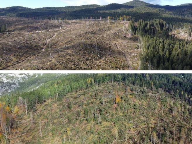 scopri cos'è successo sette anni dopo la tempesta vaia: impatti, ricostruzione, lezioni apprese e il futuro dei territori colpiti. approfondimento sulle conseguenze ambientali e sociali.