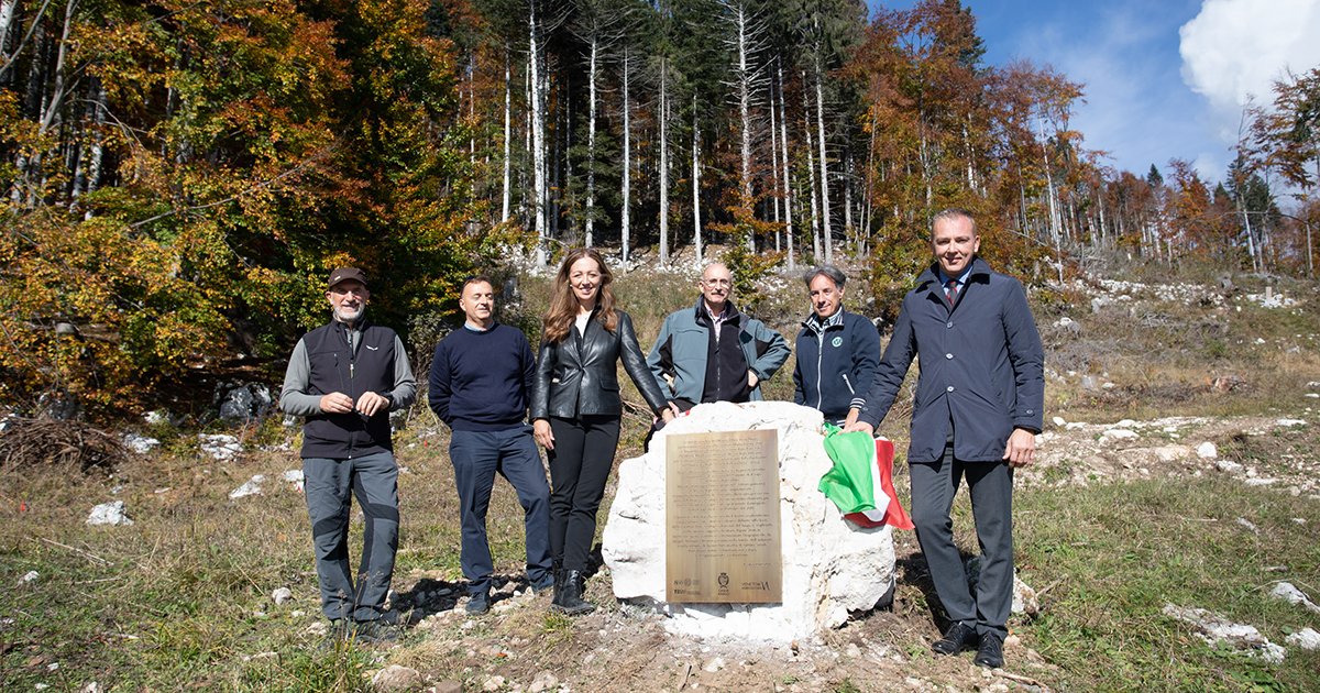 scopri come il territorio e le comunità sono cambiati sette anni dopo la tempesta vaia. analisi, testimonianze e riflessioni su ricostruzione, ambiente e futuro.