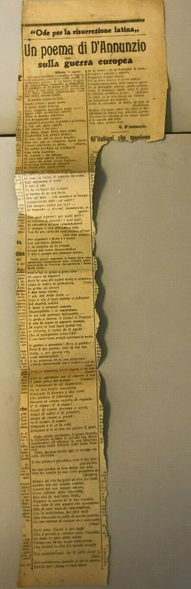 scopri i segreti di gianluca nel dolomiti beer & wine shop: una selezione unica di birre artigianali e vini pregiati delle dolomiti per veri intenditori.